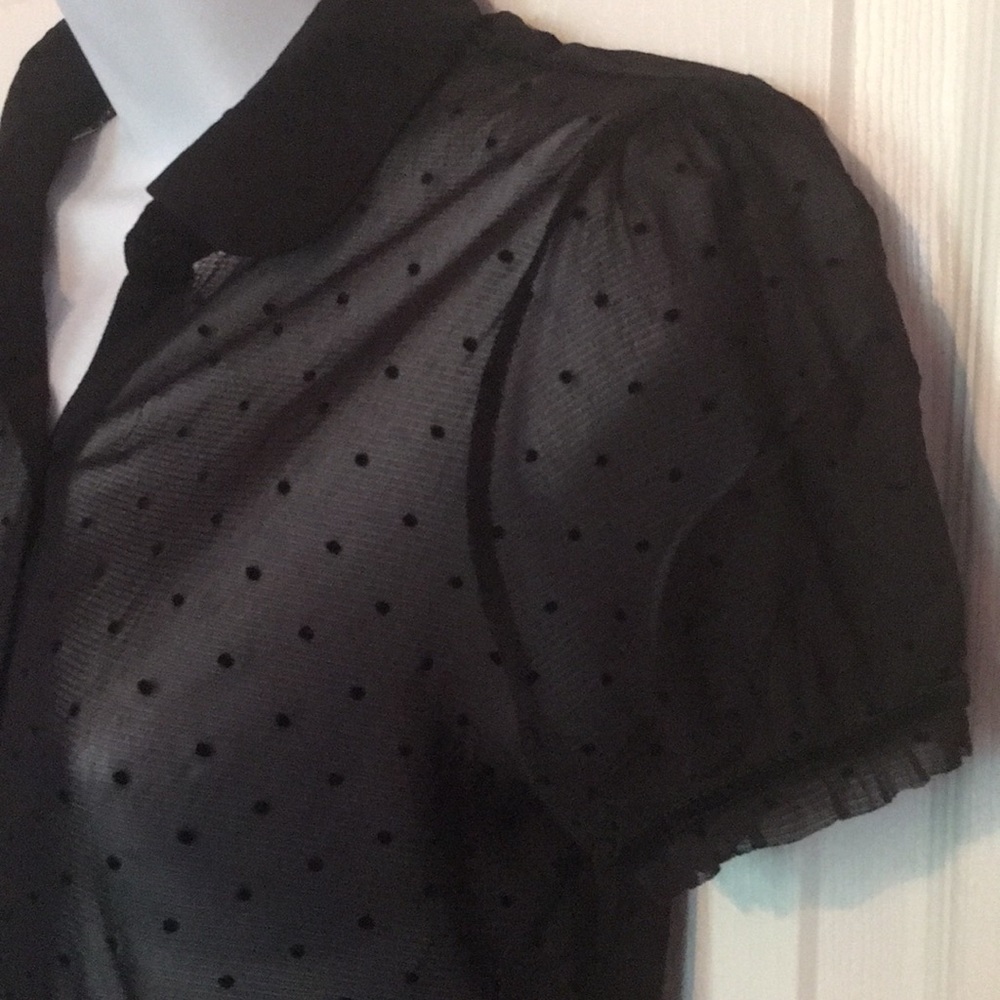 Sheer Top - Picture 3 of 6